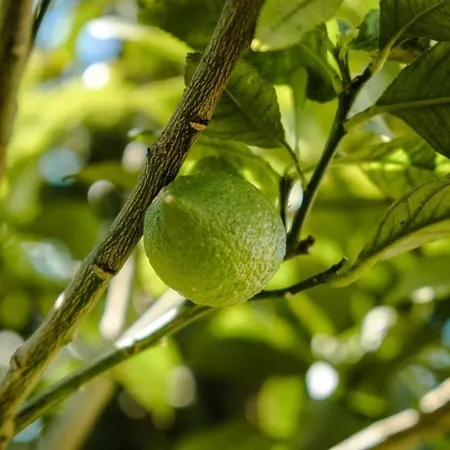 Guestready - Leme Breathtaking Views Gaula