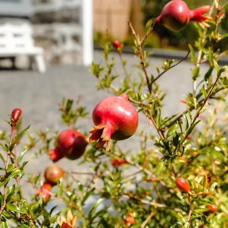 Guestready - Leme Breathtaking Views *