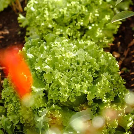 Feriehus Guestready - Leme Breathtaking Views Gaula