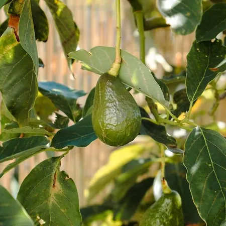 Guestready - Leme Breathtaking Views