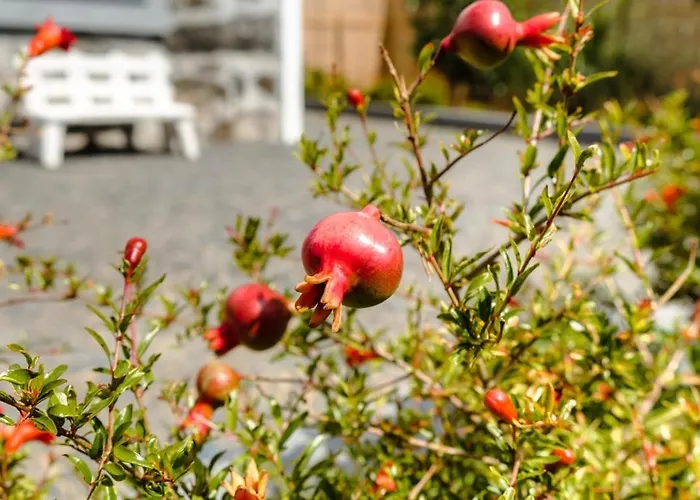 Guestready - Leme Breathtaking Views *