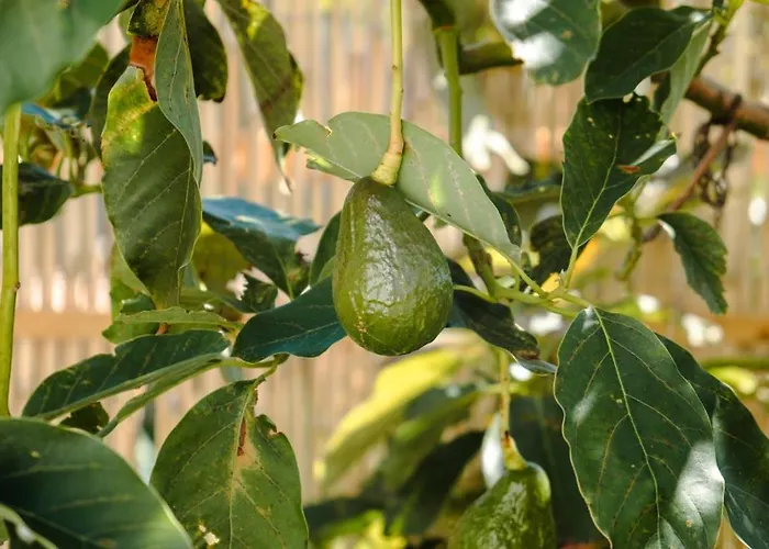 Guestready - Leme Breathtaking Views